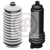 AUTOFREN SEINSA D9133C Bellow Set, steering